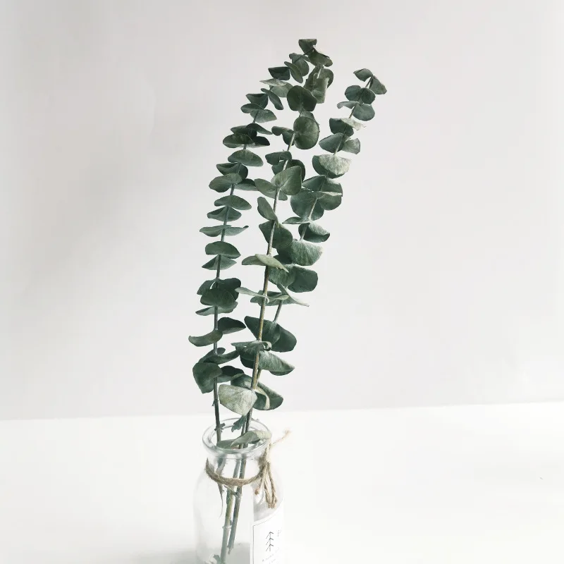 

Bouquet Natural Eucalyptus Leaves Branches Stems Dried Flower Real Palnt DIY Home Decor Wedding Ornament Immortality Eucalyptus