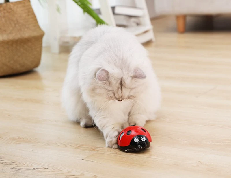 [MPK Store] Catch Me If You Can Super Fun Cat Toy, Pet Toy, Watch Our Video to Know More image 3