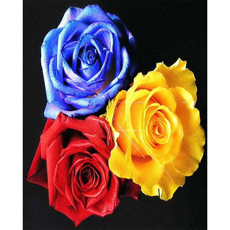 

Diamond Painting Kit- Color Roses, 5D DIY Full Diamond Embroidery, Round/Square Inlaid Diamonds, Cross Stitch Art Decoration