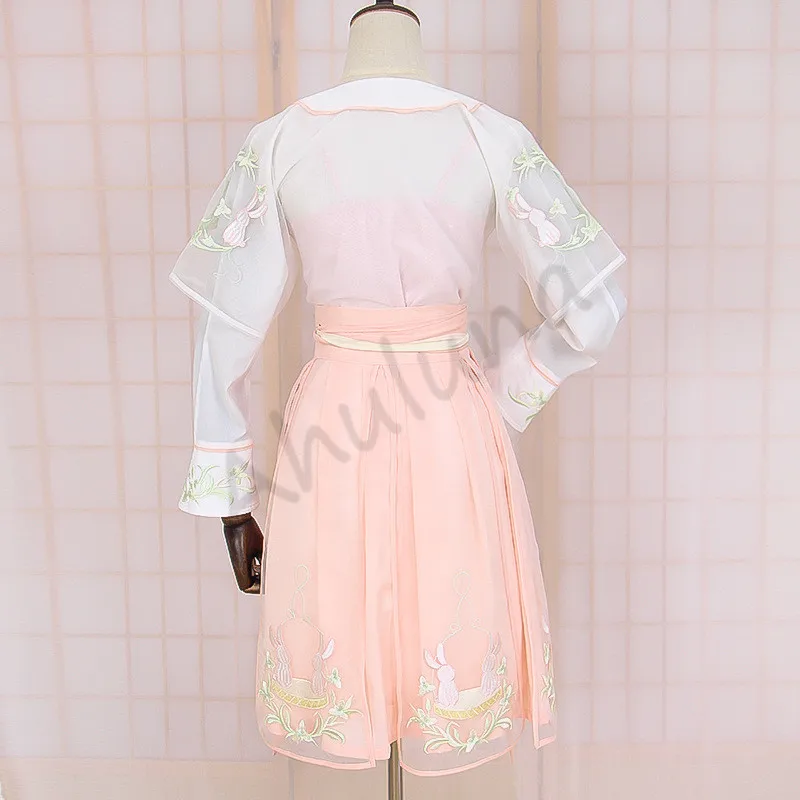 

Hanfu Costumes For Women Original Chinese Traditional Female Cosplay Hanfu Half-arm Ancient Embroidery One-piece Skirt C192
