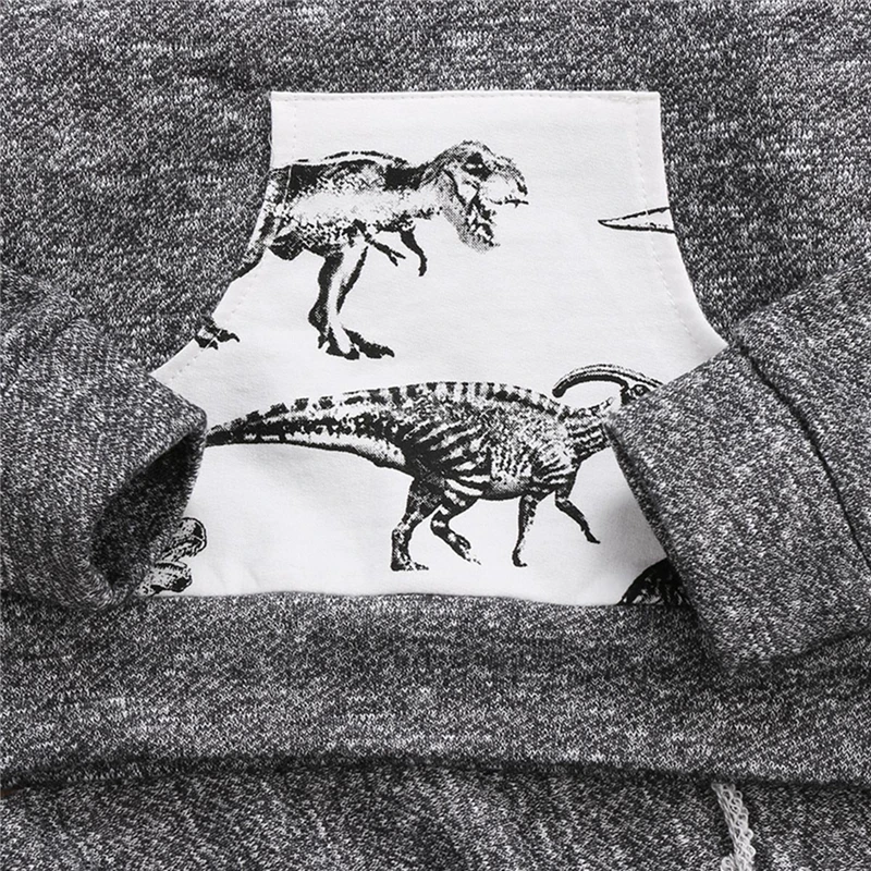 Baby Boys Clothes Baby Long Sleeve Hoodies Newborn Dinosaur Tops Pants Outfits Kid Clothing Sets