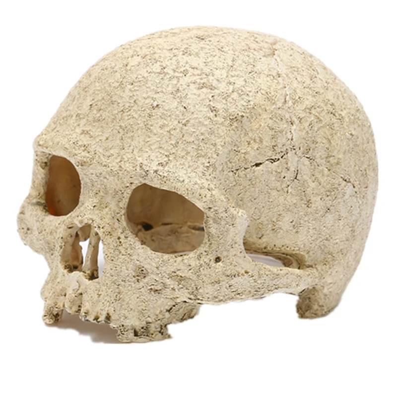 

Украшение для аквариума, имитация черепа из смолы, украшения для аквариума