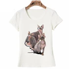 Необычная Классическая футболка с коллажем сфинкса, новая летняя женская футболка с коротким рукавом и изображением милого кота, повседневные белые футболки для девочек, топы