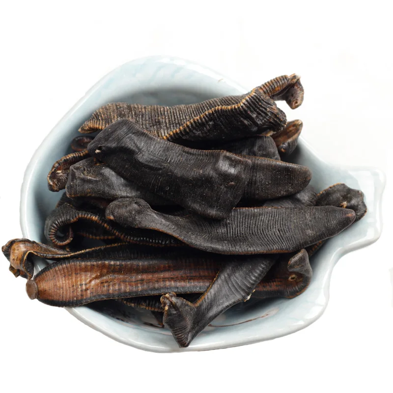 Leeches secos para el sol, sanguitos secos para la preservaci&oacute;n de la salud, t&oacute;nico para sangre, sanguitos-2