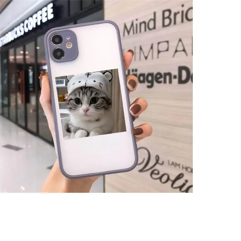 

Cute Cats New Year Gifts Phone Case Matte For iPhone 12 Mini 11 Pro XR XS Max 7 8 Plus X Hard PC Back Cover