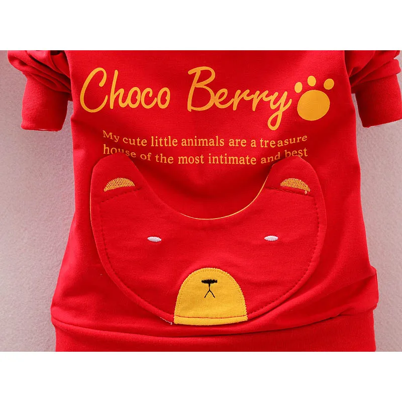 Костюм детский хлопковый с капюшоном и штанами на осень/весну | Детская одежда