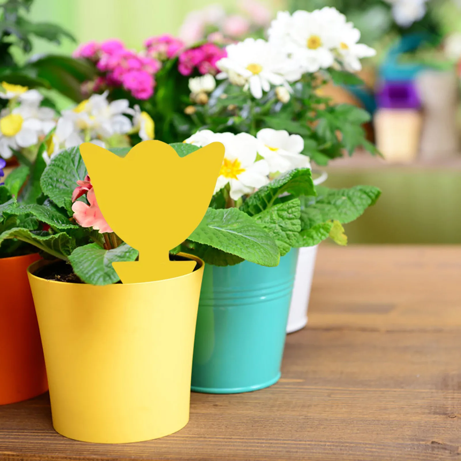 Двухсторонние липкие ловушки летающее растение ловушка насекомых легкие жуки