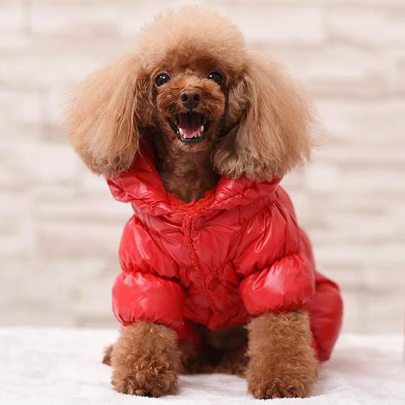 Водонепроницаемая одежда для собак пальто маленьких зимняя куртка щенков теплая