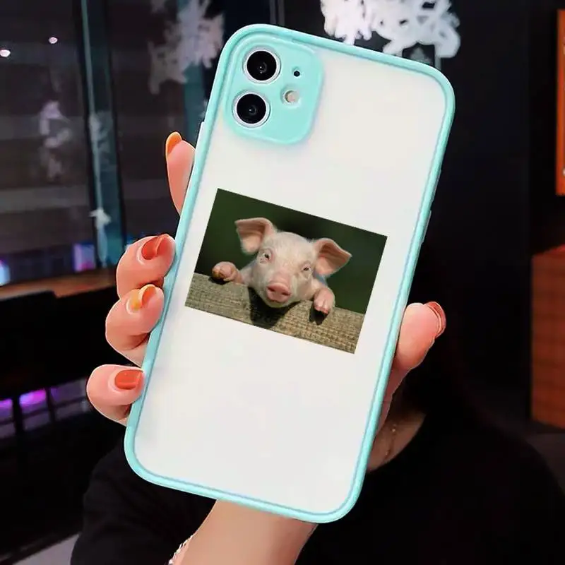 

Cute Little Pink Pet Pig animal Phone Cases matte transparent For iphone 7 8 11 12 plus mini x xs xr pro max cover
