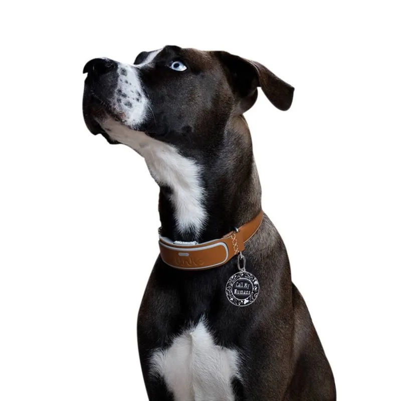 Подвеска для собак с защитой от потери бирка из нержавеющей стали Именные Бирки