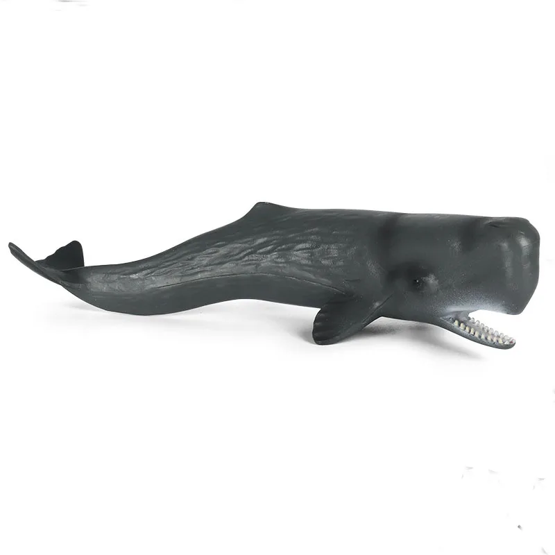 

Simulation Marine Life Model Toy Sperm Whale Shark Early Childhood Education Cognitive Doll Decoration Hand-made for Kids