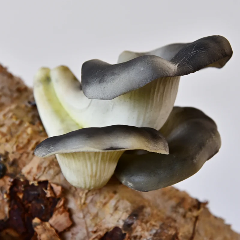 Креативные искусственные растения грибы из пены фруктовые коры украшение для