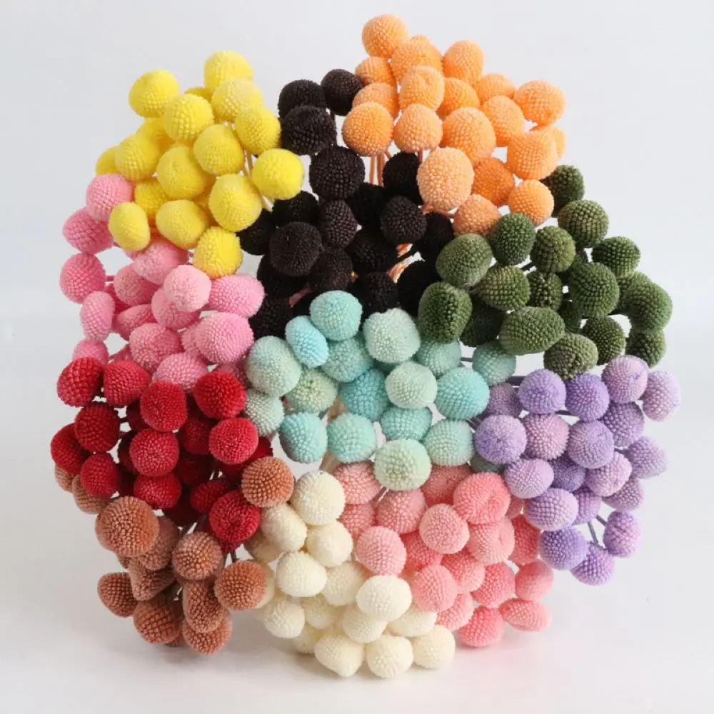 

10pcs Golden Ball Natural Dried Flower Bouquet For Nordic Home Living Room Decoration Diy Vase Flower Arrangement Photo Props