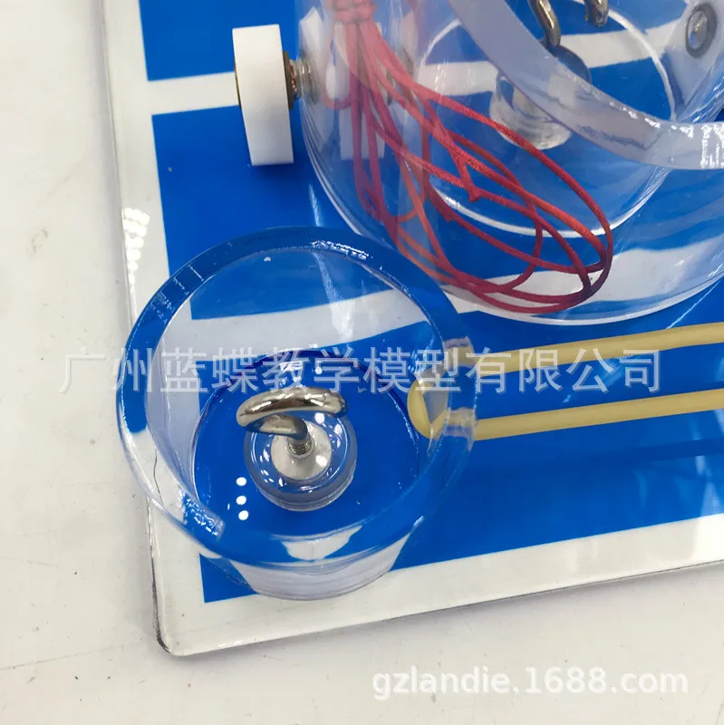 Хирургическая модель для обучения сосудистым узлом хирургическим медицинские