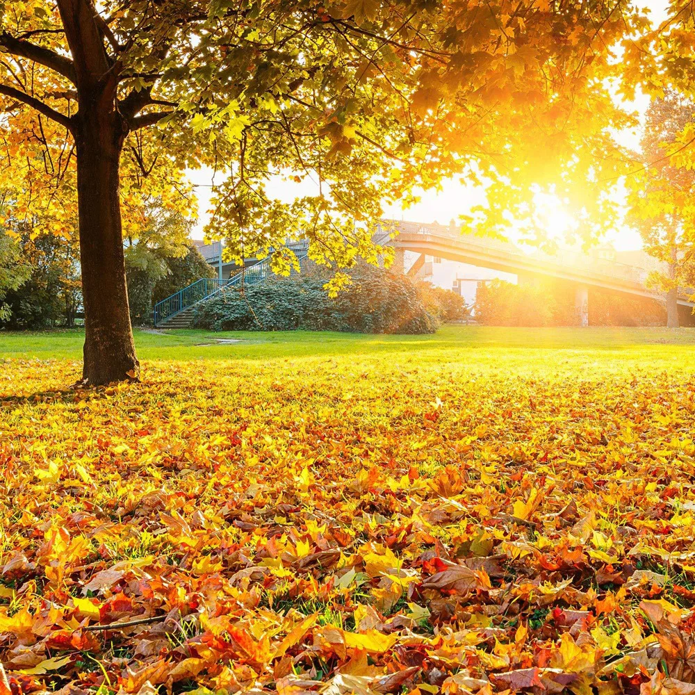 100 шт./упак. 8 см искусственные цветы в виде кленового листа свадебные украшения