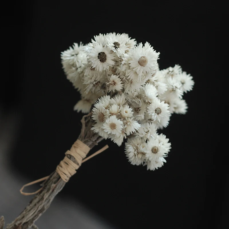 

1 шт., букет сушеных цветов