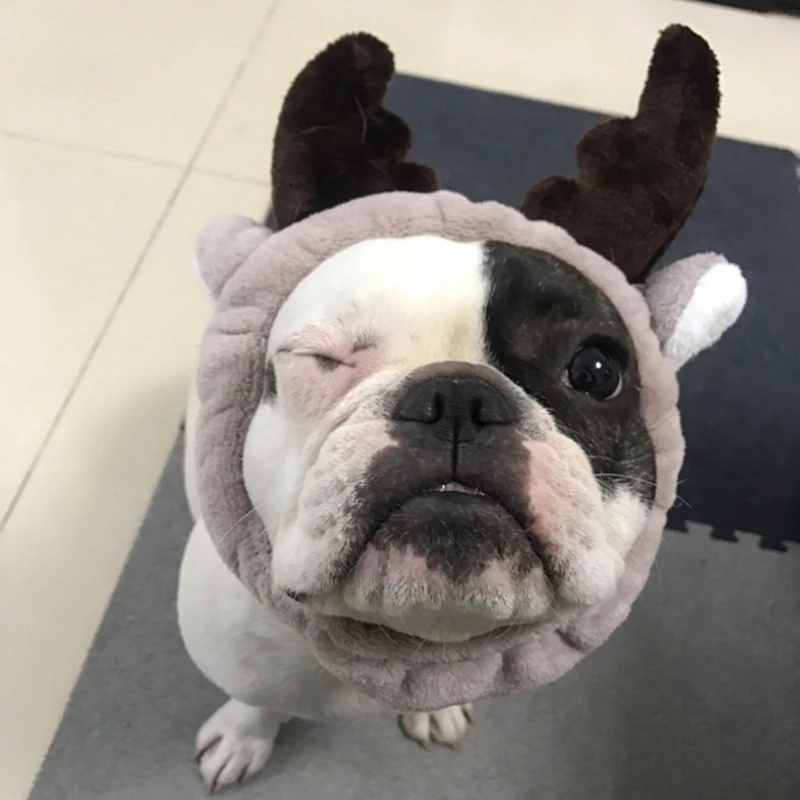 Детская необычная оригинальная игрушка для домашних животных|Кепки собак| |