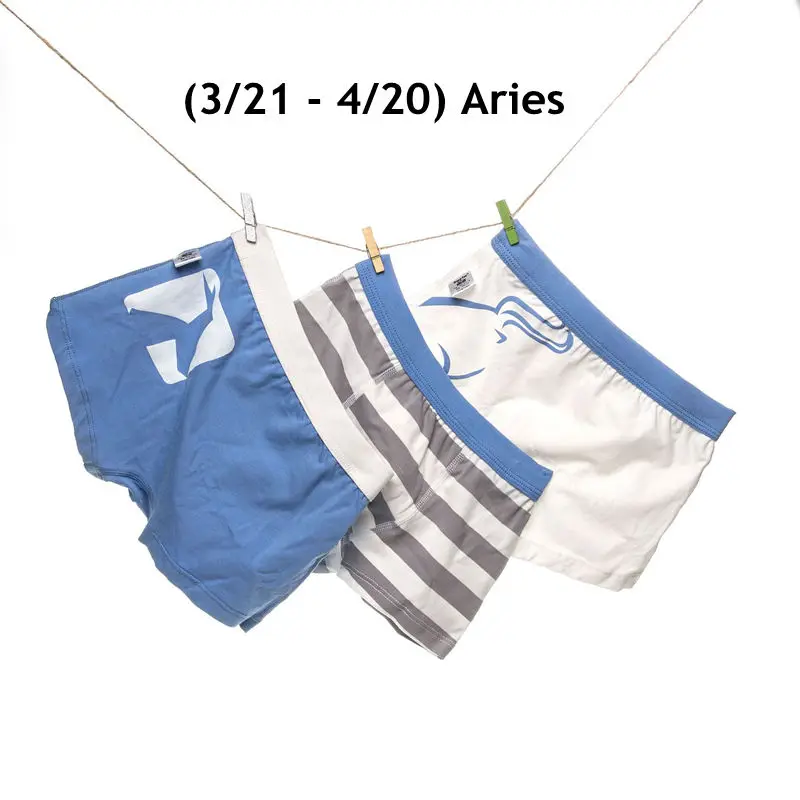 3 шт./упак. нижнее белье для мальчиков милые хлопковые трусы с принтом 12 созвездий