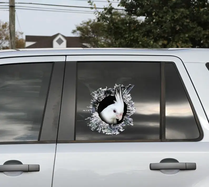 

2021 Albino Cockatiel window decal, White Cockatiel window sticker
