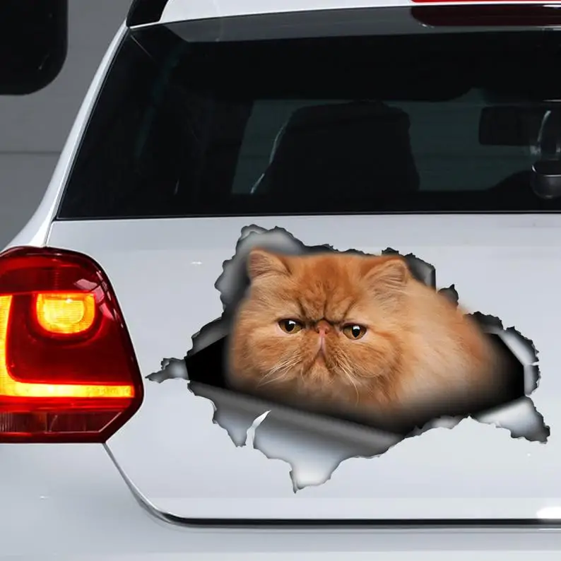 

2021 Red Persian cat car decal , Red cat magnet, Persian cat sticker