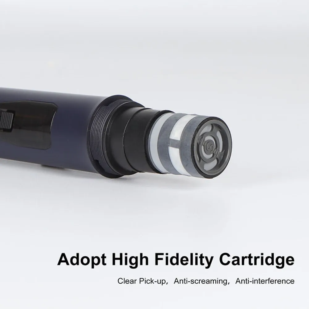 

Wireless Microphone Dual Channels UHF Anti-Howling Handheld Professional Chargeable Receiver Dynamic Mic for Karaoke