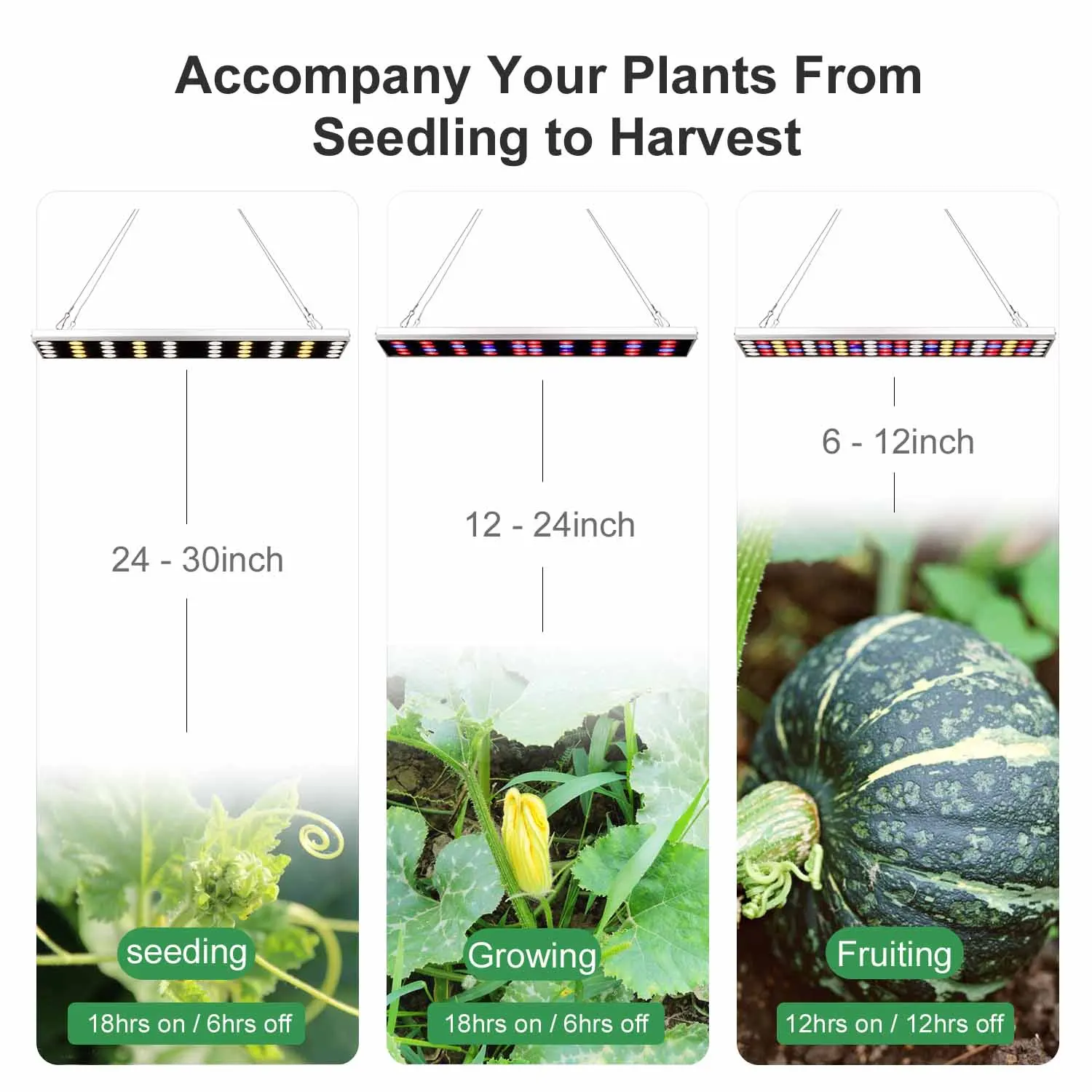 Beste Jcbritw Led Licht Groeien Met Stand Wit Rood Blauw Volledige Spectrum100W Groeiende Lamp Opknoping Panel Dimbare Met Timer Functie
