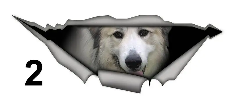 

2021 Great Pyrenees car sticker , pet decal, Vinyl decal, Great Pyrenees sticker, funny decal, dog sticker