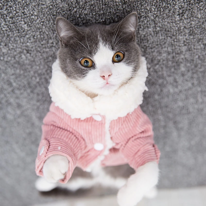 

Pet clothes Winter dog clothes cat clothes Fashionable cute Pet dog cotton clothes Small and medium clothes for dogs for cats