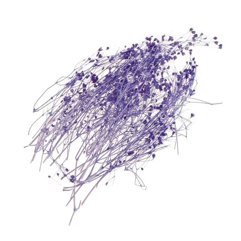 1 коробка наполнитель для цветов из эпоксидной смолы|Ювелирная фурнитура и