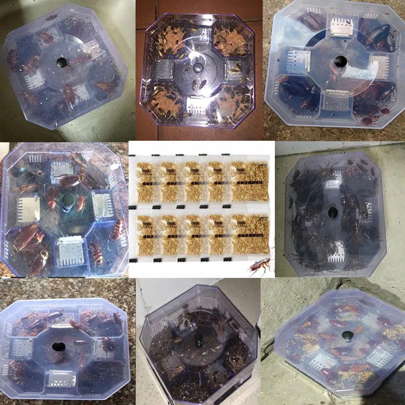 10 шт. приманка для уничтожения тараканов вредителей Управление мощный Кухня