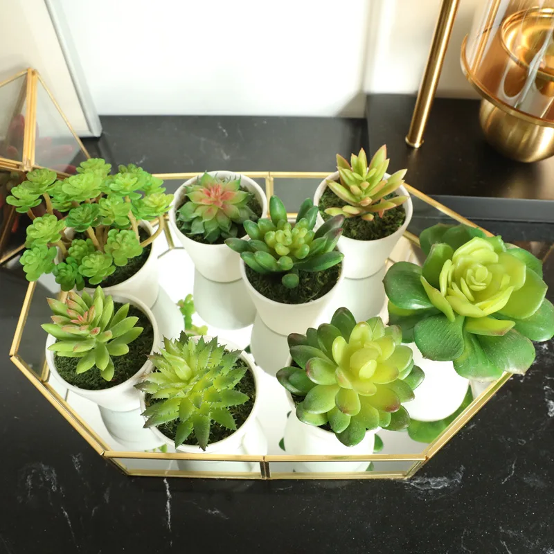 Искусственные суккулентные растения бонсай имитация алоэ лотоса латексные