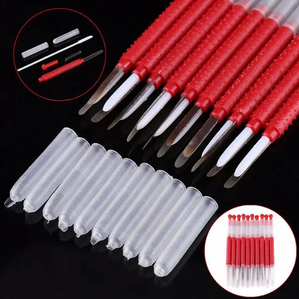 

10 pcs Beekeeping Grafting Tool Bee Queen Larva Apiculture Supplies Retractable Grafting Spring With Equipment New J5D8