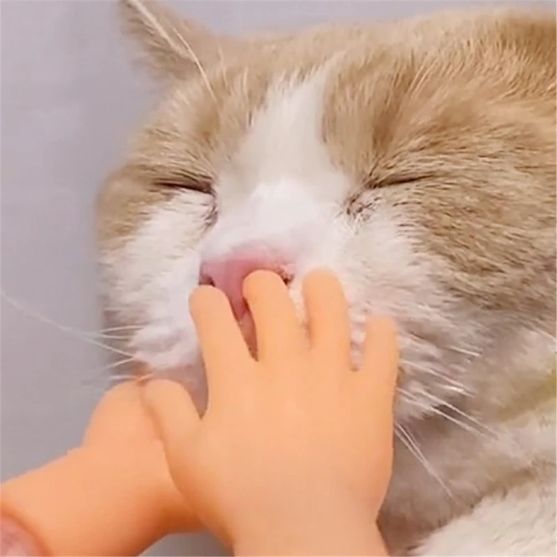 

Funny Mini Hands Creative Finger Fidget Toys Small Hand Tease the Cat Pet Toy Gag Joke Kids Adults Toy