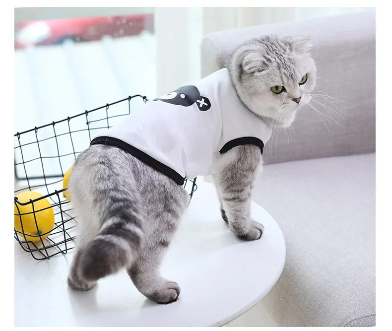 

2021 fashion cute cat clothes kitty coat T-shirts for pets