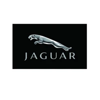 3x5 ft car flag jaguar polyester printed flags and banners for decor