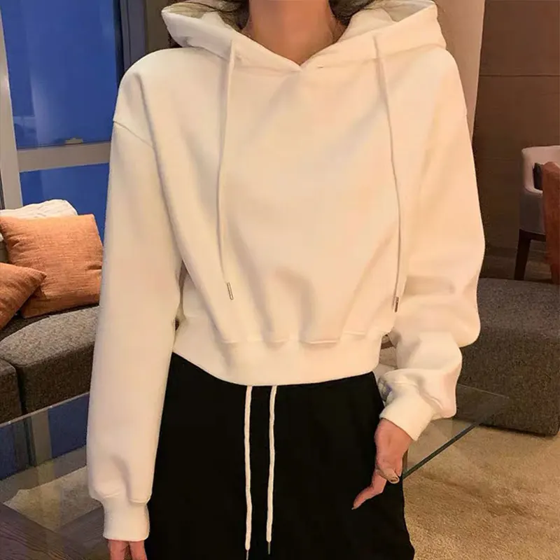 

2021,100% Cotton Hoodies, Hip-hop Hoodies, And Free Shipping WY25-WY35