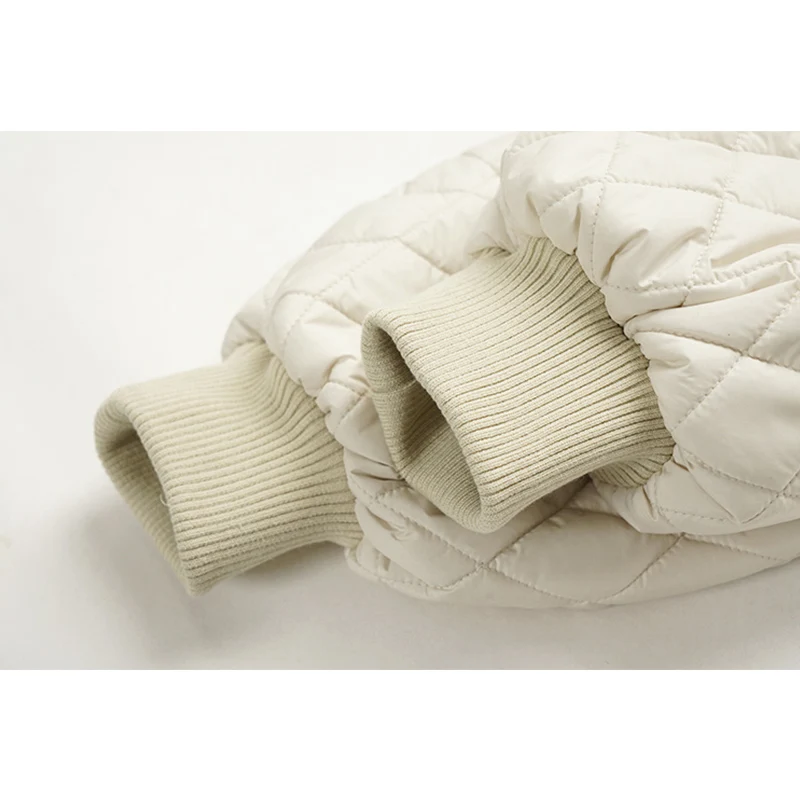 

Vintage Peter Pan Collar Solid Down Jacket Women 2020 Winter Korean Elegant Oversize Parkas Thick Warm Coat Female Chic Outwear