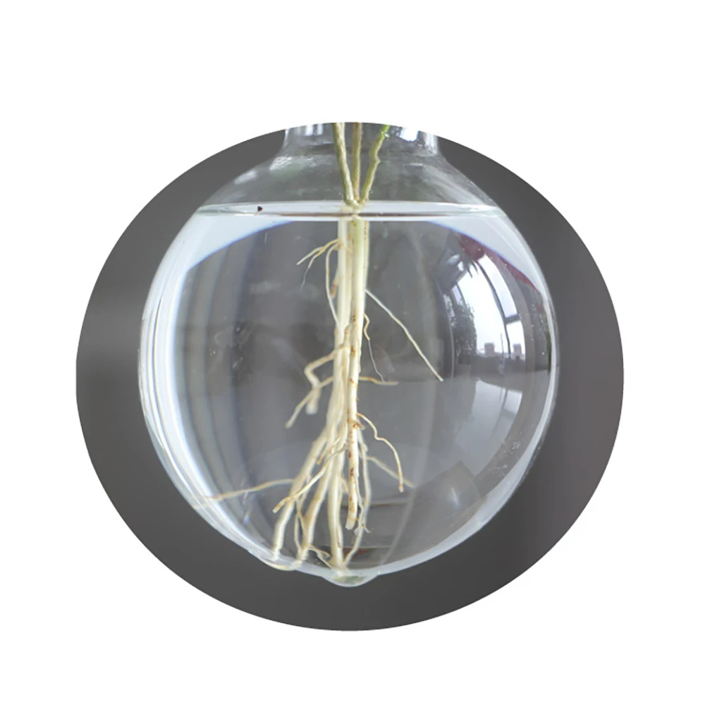 Стеклянная ваза для бутылок прозрачная гидропонных растений деревянная рамка