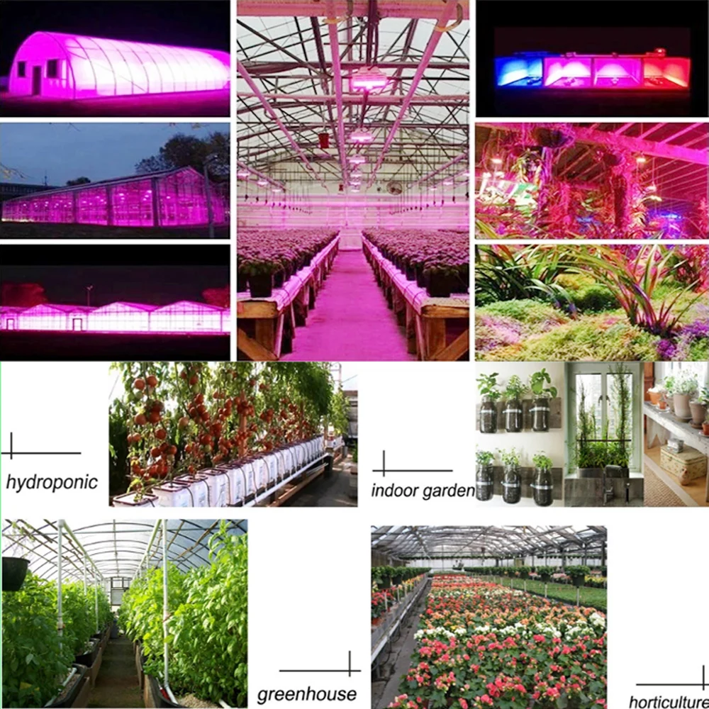 Grow light 5050 60 светодиодов/м 4 красный 1 синий водонепроницаемый светодиодный завод светодиодная лента для освещения растений для внутреннего рассада цветов овощей Фито лампа набор