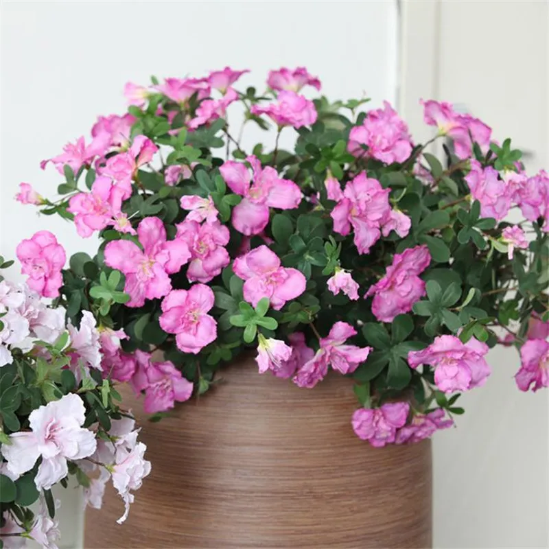 

6P Fake Spring Azalea Simulation Rhododendron for Wedding Home Decorative Artificial Flowers