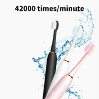 new 6 speed electric toothbrush adult household usb rechargeable sonic toothbrush