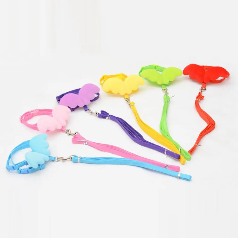 Милый ангел поводки для питомцев собак и набор воротников Маленькие кошки щенков