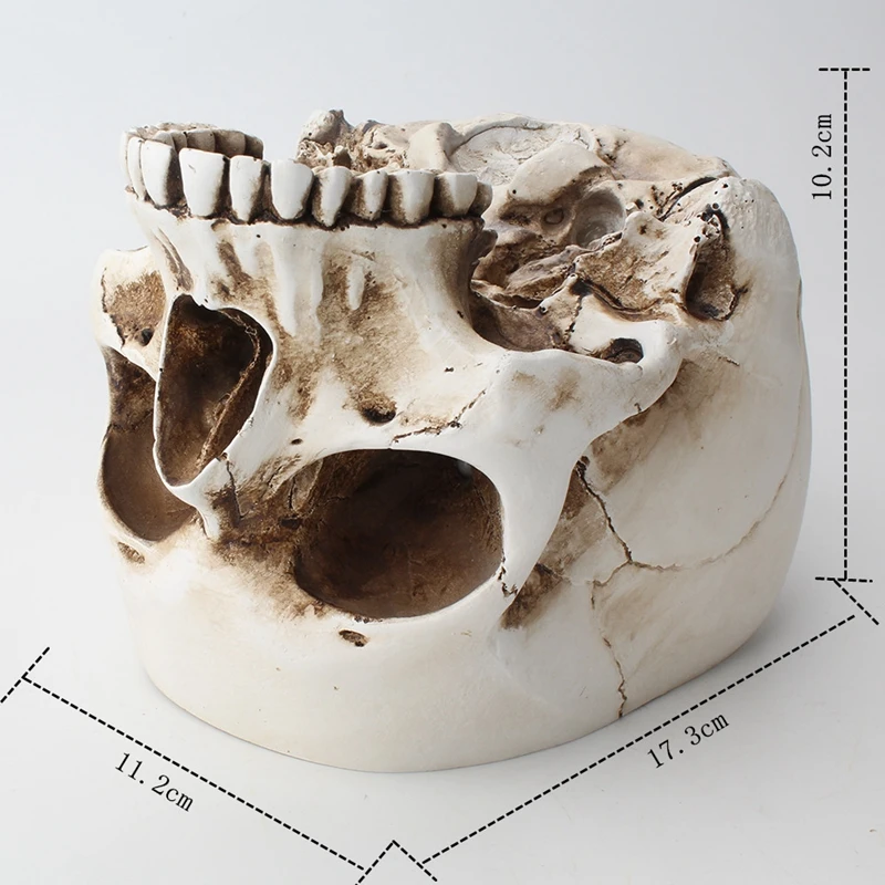 Цветочный горшок с черепом каучуковая коробка для хранения скульптура статуя