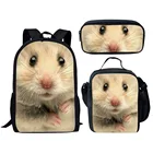 Комплект из 3 предметов, школьная сумка для девочек-подростков, Холщовый дорожный рюкзак для женщин, сумки для книг, школьные сумки для хомяка для подростков