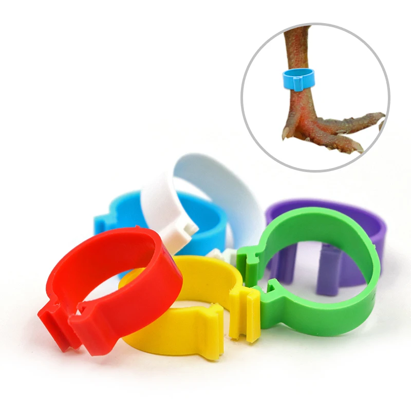 Кольцо куриная нога 20 мм Пряжка для ног птицы 6 цветов 100 шт. | Дом и сад