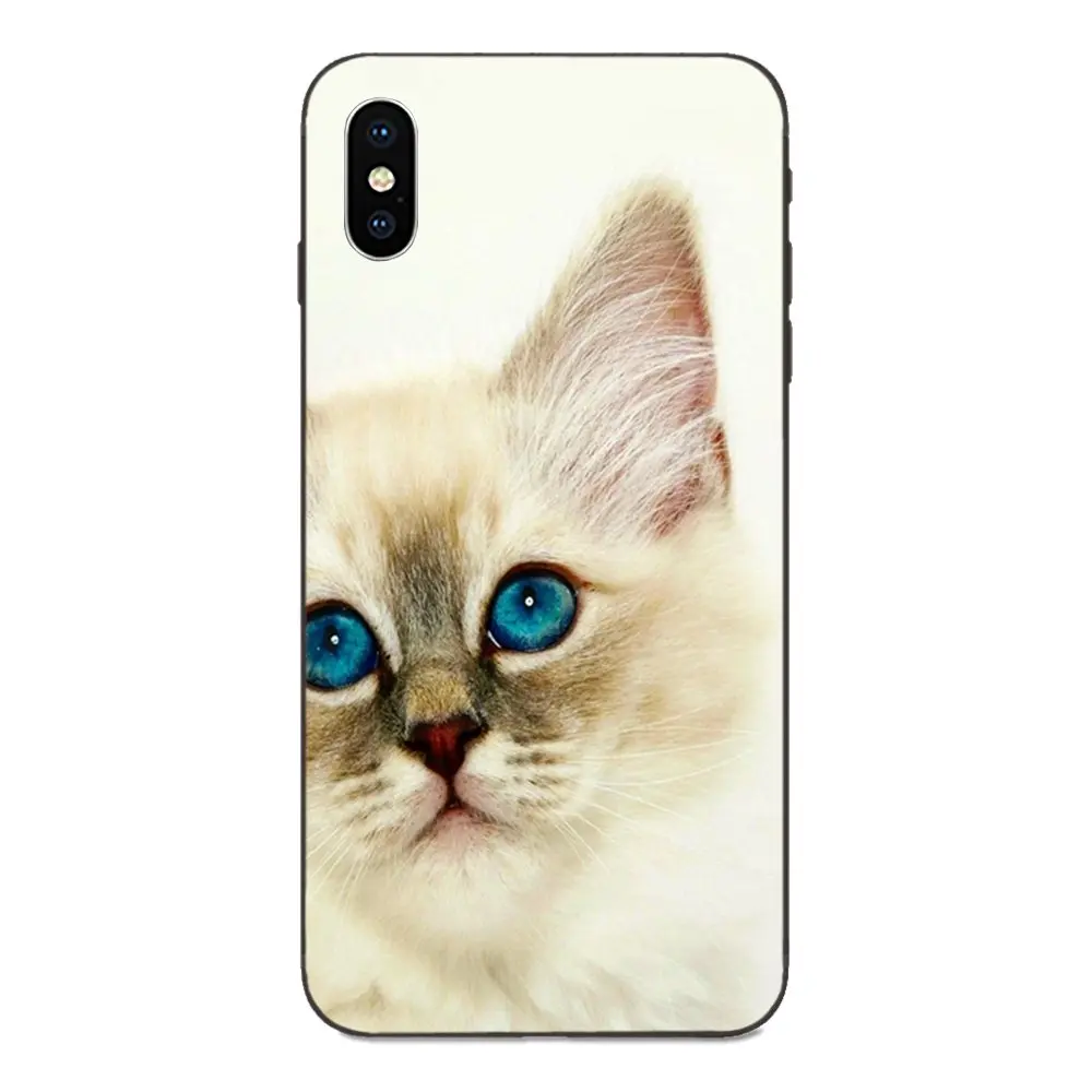 ТПУ Модный чехол для Apple iPhone 4 4S 5 5S SE 6 6S 7 8 Plus X XS Max XR Pet Ragdoll Cat Blue Eyes | Мобильные