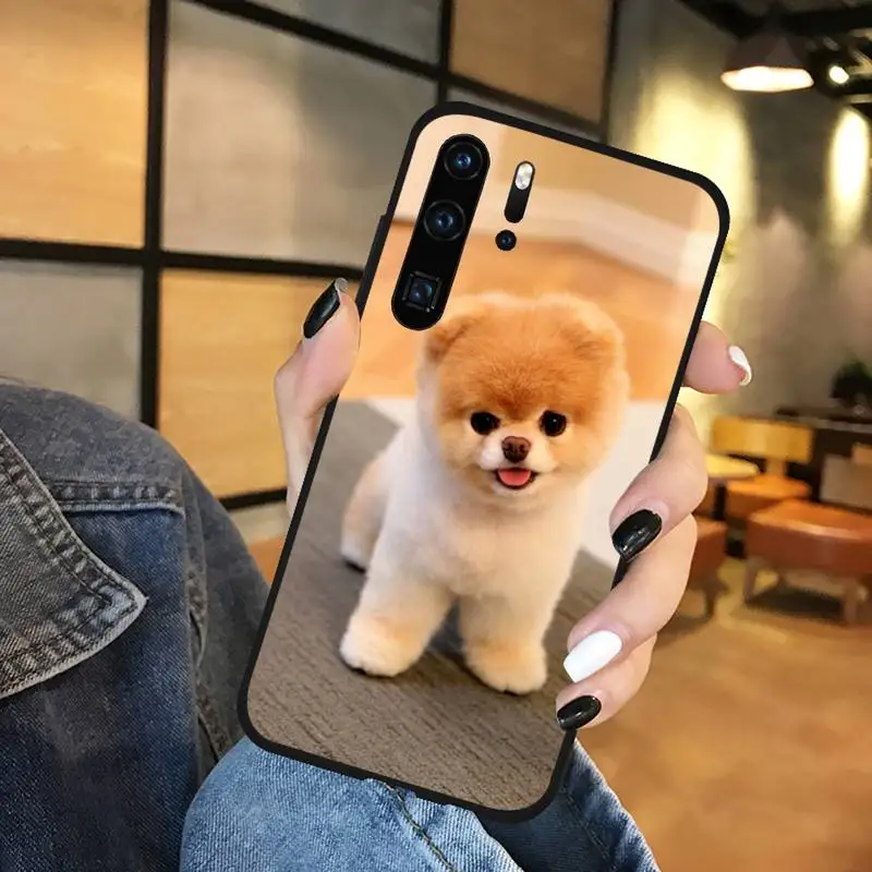 

Pomeranian dog cute Phone Case Funda For Huawei P9 P10 P20 P30 Lite 2016 2017 2019 plus pro P smart