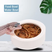 sml reptile food water bowl lizard gecko ceramic pet bowls anti escape worm dish crawler pet feeder bowl pets supplies
