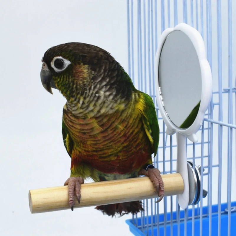 Parrot Perch Triangle Frosted Hen Stand Wood Table Top Play Toy for Hens Handmade Swing Bird Large With Mirror | Дом и сад