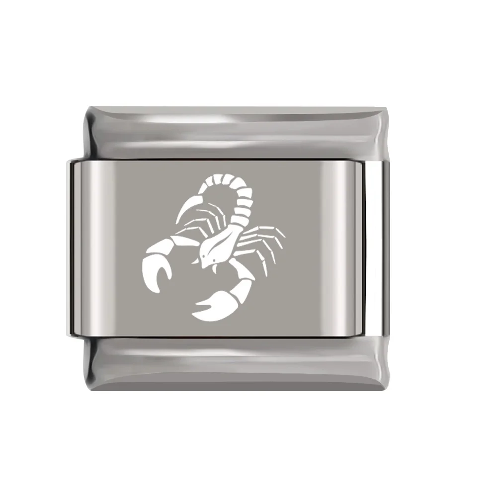 Scorpio Hapiship 1 шт. 9 мм ширина Маргаритка 12 Созвездие Шарм Подходит 9 мм браслет серебро Нержавеющая сталь изготовление ювелирных изделий DJ154 - Metal Color: Scorpio